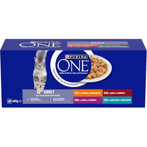 PURINA ONE Mini Fillets Mixed Selection in Gravy Wet Cat Food 40x85g