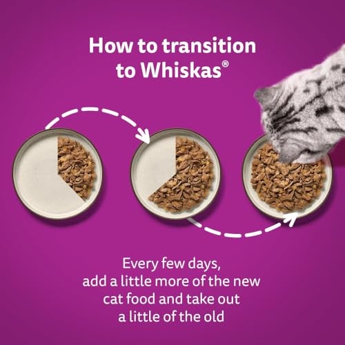 WHISKAS - 1+ Adult Wet Cat Food Pouches - 40 x 85 g - Poultry Selection - Bulk Cat Food Megapack - 40 Jelly Pouches - Image 5