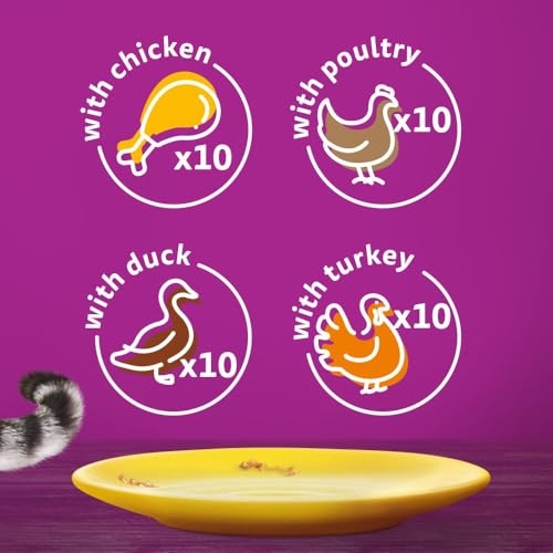 WHISKAS - 1+ Adult Wet Cat Food Pouches - 40 x 85 g - Poultry Selection - Bulk Cat Food Megapack - 40 Jelly Pouches - Image 6