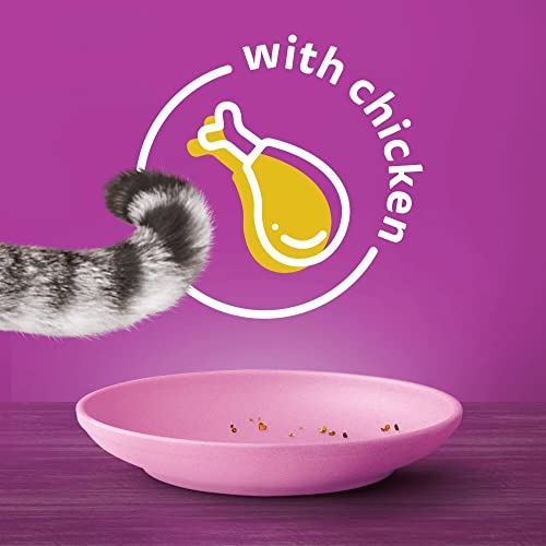Whiskas Junior Chicken 7 kg Bag, Kitten Cat Dry Food - Pack May Vary - Image 3