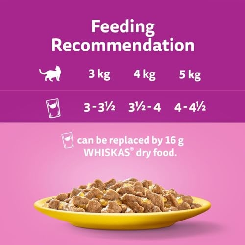 WHISKAS - 1+ Adult Wet Cat Food Pouches - 40 x 85 g - Poultry Selection - Bulk Cat Food Megapack - 40 Jelly Pouches - Image 9