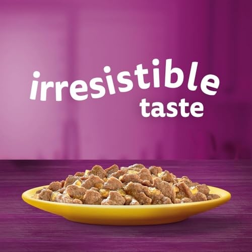 WHISKAS - 1+ Adult Wet Cat Food Pouches - 40 x 85 g - Poultry Selection - Bulk Cat Food Megapack - 40 Jelly Pouches - Image 7