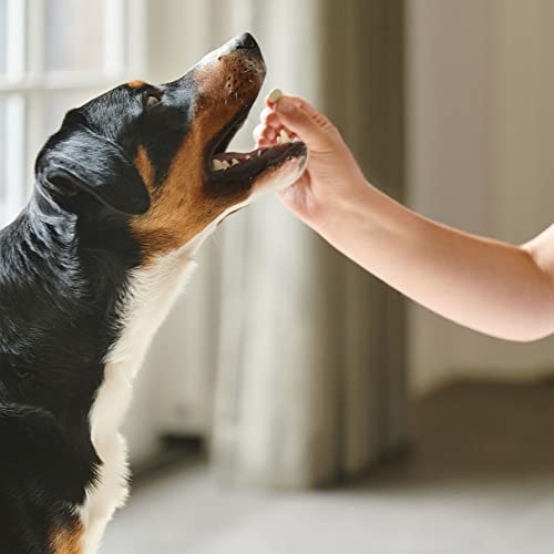 Beaphar | WORMclear® Tablets for Dogs up to 40kg | Kills All Common UK Intestinal Worms (Roundworms & Tapeworms) | Vet Strength Treatment | Pork-flavoured | 4 tablets - Image 3