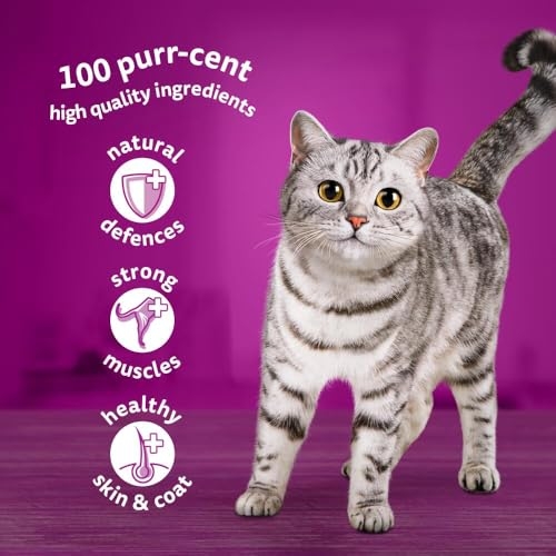 WHISKAS - 1+ Adult Wet Cat Food Pouches - 40 x 85 g - Poultry Selection - Bulk Cat Food Megapack - 40 Jelly Pouches - Image 10