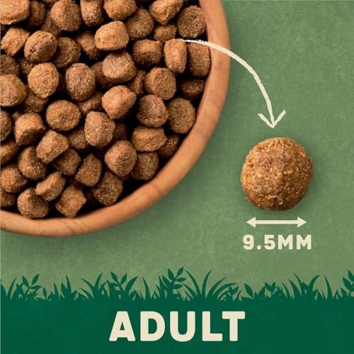 Harringtons Complete Dry Adult Dog Food Lamb & Rice 15 kg - Made with All Natural Ingredients - Image 2
