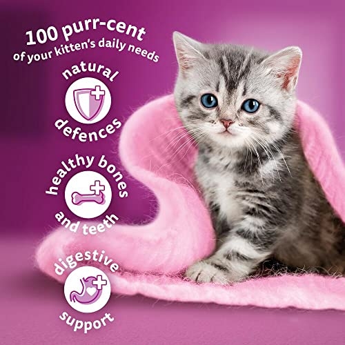 Whiskas Junior Chicken 7 kg Bag, Kitten Cat Dry Food - Pack May Vary - Image 8