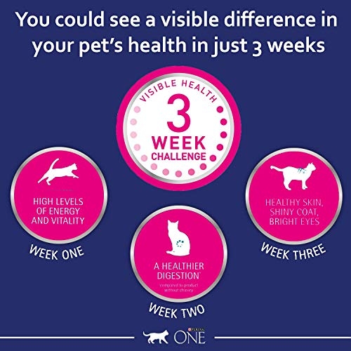 Purina ONE Adult Dry Cat Food Rich in Chicken 6kg, Packaging may vary - Image 7