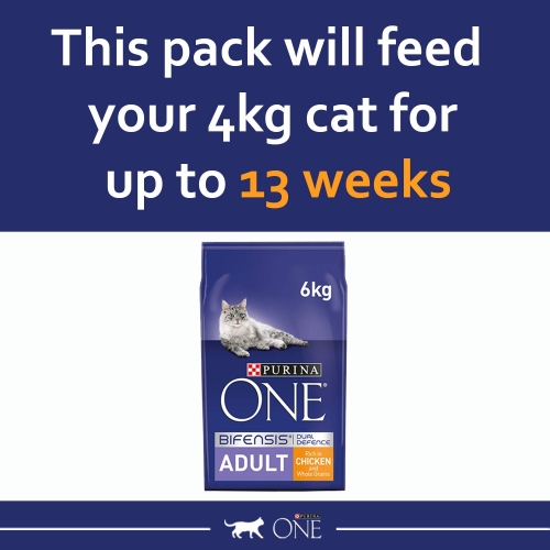 Purina ONE Adult Dry Cat Food Rich in Chicken 6kg, Packaging may vary - Image 5