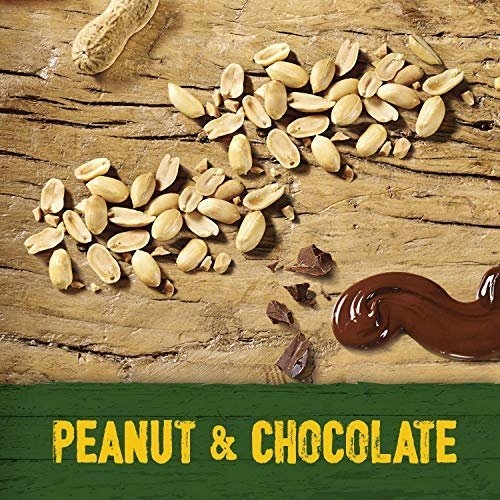 Nature Valley Protein Peanut & Chocolate Gluten Free Cereal Bars, 40 g (Pack of 26 ) - Image 8