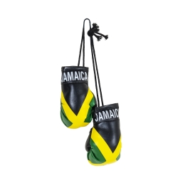 SandT Collection Country Flag Mini Boxing Gloves - Hanging Punching Gloves, Jamaican, One size