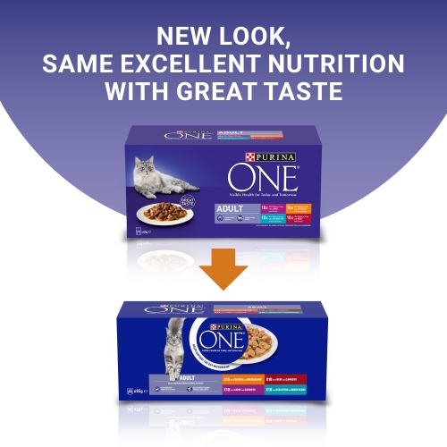 PURINA ONE Mini Fillets Mixed Selection in Gravy Wet Cat Food 40x85g - Image 10