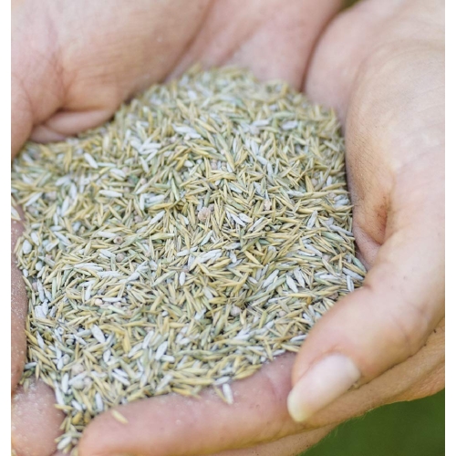 Gro-Sure Aqua Gel Coated Smart Grass Lawn Seed, 25 m2, 1 kg - Image 5