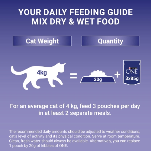 PURINA ONE Mini Fillets Mixed Selection in Gravy Wet Cat Food 40x85g - Image 6