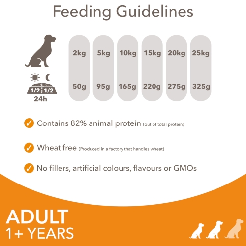 IAMS Complete Dry Dog Food for Adult 1+ Small and Medium Breeds with Chicken 12 kg - Image 2