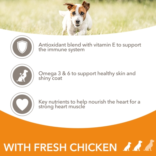 IAMS Complete Dry Dog Food for Adult 1+ Small and Medium Breeds with Chicken 12 kg - Image 6