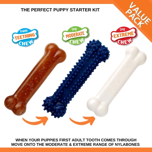 Nylabone Puppy Starter Kit, Pack of 3 Dental Dog Chew Bones, Teething, Gentle, Graduate, Small, for Puppies Up to 11 kg - Image 6