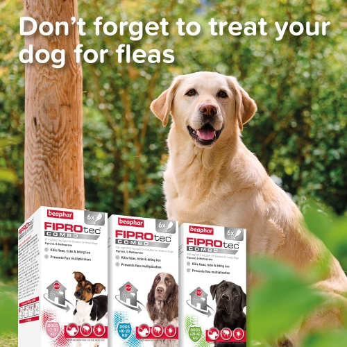 Beaphar | WORMclear® Tablets for Dogs up to 40kg | Kills All Common UK Intestinal Worms (Roundworms & Tapeworms) | Vet Strength Treatment | Pork-flavoured | 4 tablets - Image 2