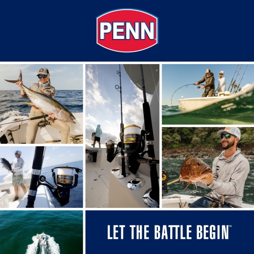 PENN Pursuit IV Spinning, Fishing Reel, Spinning Reels, Sea - Inshore Fishing, Spin Fishing, Jig, Lure Reel for All-Round Use, Boat, Kayak, Shore, Unisex, Black Silver, 5000 - Image 2