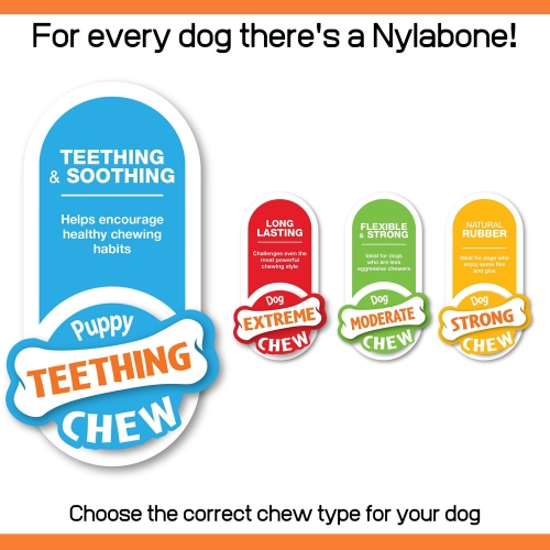 Nylabone Puppy Starter Kit, Pack of 3 Dental Dog Chew Bones, Teething, Gentle, Graduate, Small, for Puppies Up to 11 kg - Image 4