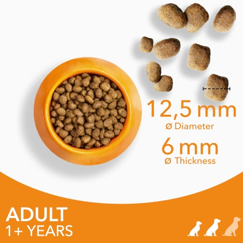 IAMS Complete Dry Dog Food for Adult 1+ Small and Medium Breeds with Chicken 12 kg - Image 4