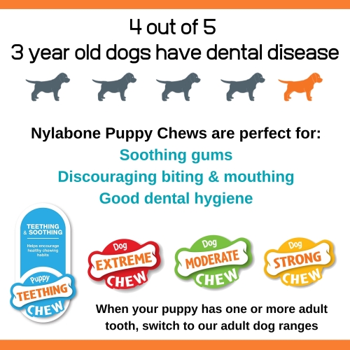 Nylabone Puppy Starter Kit, Pack of 3 Dental Dog Chew Bones, Teething, Gentle, Graduate, Small, for Puppies Up to 11 kg - Image 3
