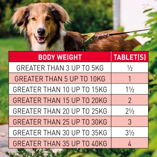 Beaphar | WORMclear® Tablets for Dogs up to 40kg | Kills All Common UK Intestinal Worms (Roundworms & Tapeworms) | Vet Strength Treatment | Pork-flavoured | 4 tablets - Image 5