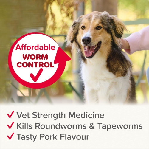 Beaphar | WORMclear® Tablets for Dogs up to 40kg | Kills All Common UK Intestinal Worms (Roundworms & Tapeworms) | Vet Strength Treatment | Pork-flavoured | 4 tablets - Image 4