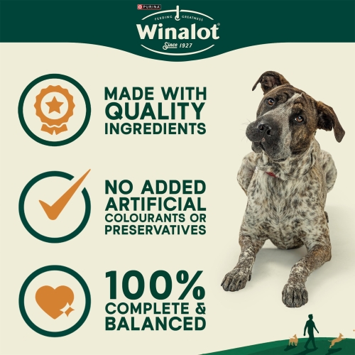 Winalot Dog Food Mixed in Gravy, 40 x 100g (Packaging may vary) - Image 6
