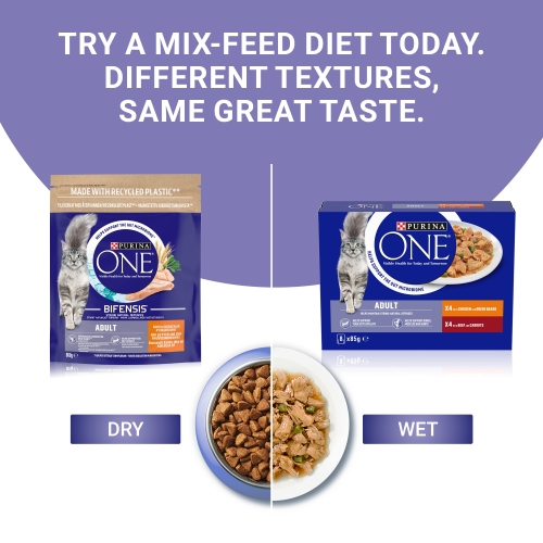 PURINA ONE Mini Fillets Mixed Selection in Gravy Wet Cat Food 40x85g - Image 5